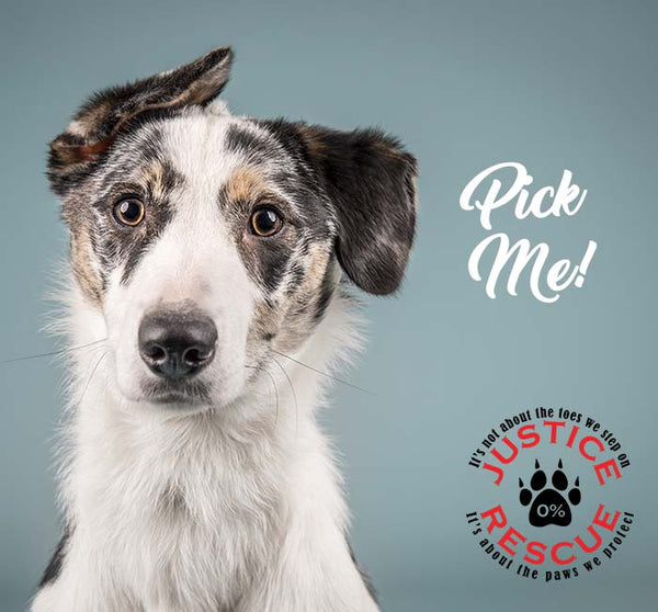 Justice Adoptions – Justice Rescue Adoptions